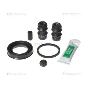 8170 203860 TRISCAN
