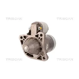 TRISCAN 8305 24012