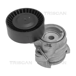 TRISCAN 8641 113014
