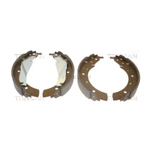 TRISCAN 810011432