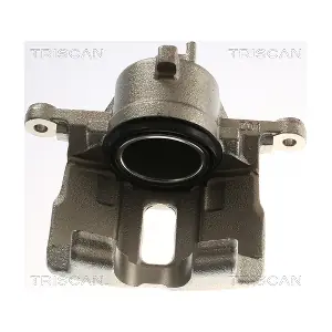 TRISCAN 8175 14107