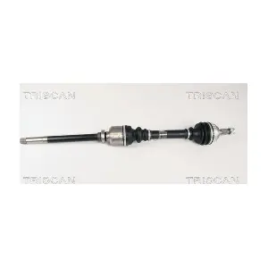 8540 28624 TRISCAN