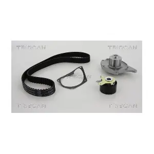 TRISCAN 8647 250006