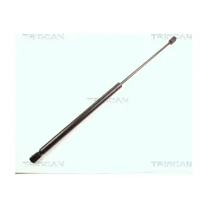 8710 16100 TRISCAN