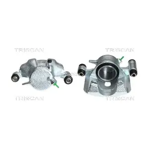 TRISCAN 8170341870