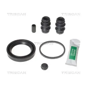 8170 204880 TRISCAN