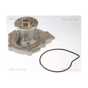 860042022 TRISCAN