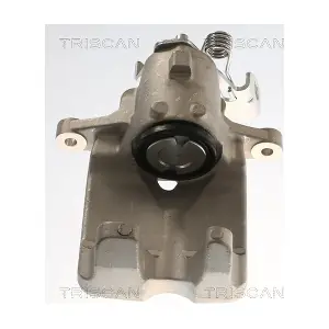 TRISCAN 8175 23220