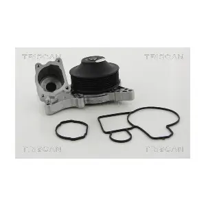 TRISCAN 860011967