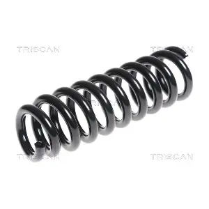 875013177 TRISCAN