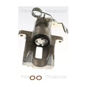 TRISCAN 8175 29213