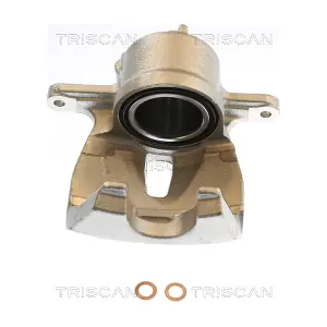 8175 13127 TRISCAN