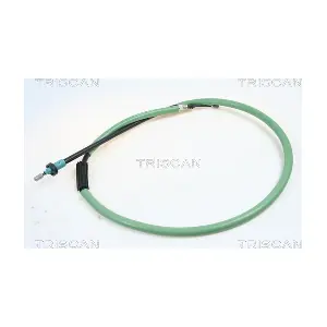 8140.251113 TRISCAN