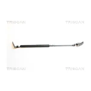 462002 TRISCAN