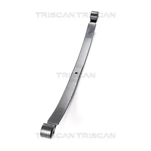 8765 16027 TRISCAN