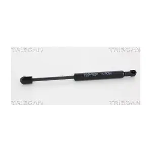 8710 25104 TRISCAN
