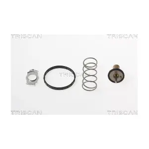 8620 44890 TRISCAN