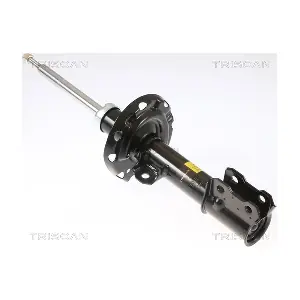 TRISCAN 8705 24107