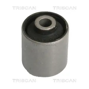 TRISCAN 850010810