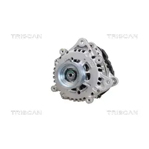 TRISCAN 8310 16038