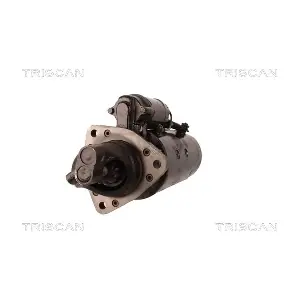TRISCAN 8305 29049