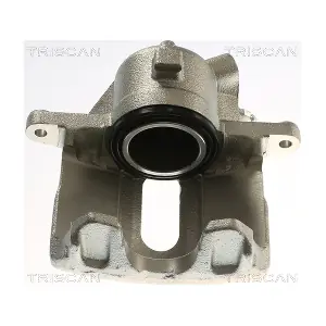 TRISCAN 8175 25110