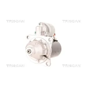 TRISCAN 8305 29074