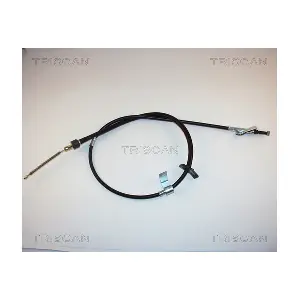 BC2555 TRISCAN