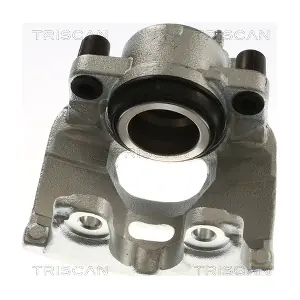 TRISCAN 8175 10112