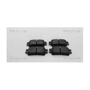 TRISCAN 8110 13106