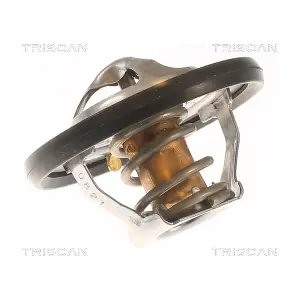 862048281 TRISCAN