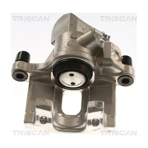 TRISCAN 8175 10229