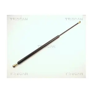 TRISCAN 8710 2412