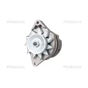 8310 17002 TRISCAN