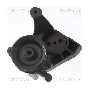 851515638 TRISCAN