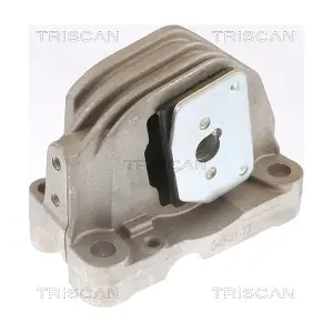 8505 27110 TRISCAN