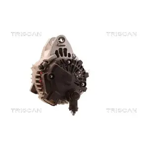 TRISCAN 8310 24013