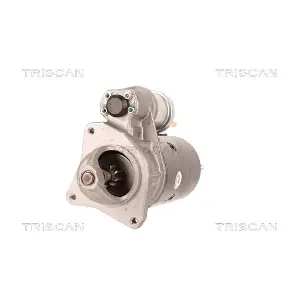 8305 10093 TRISCAN