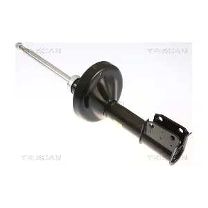 870525101 TRISCAN