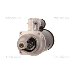 8305 29060 TRISCAN