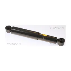 313320 TRISCAN