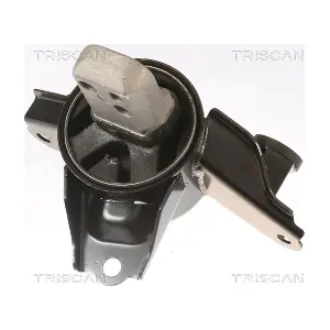 8505 43108 TRISCAN