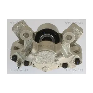TRISCAN 8175 27201