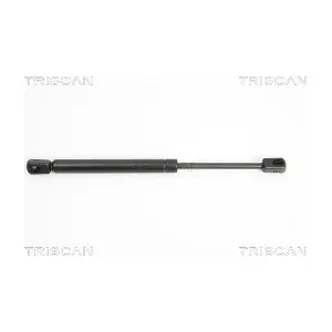 8710 43225 TRISCAN