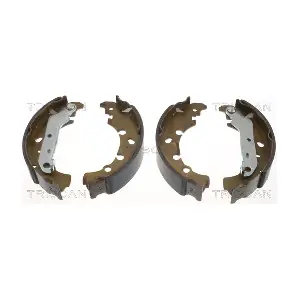 TRISCAN 810016006