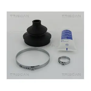 8540 29843 TRISCAN
