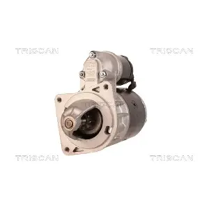 TRISCAN 8305 29015