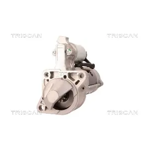 TRISCAN 8305 27006