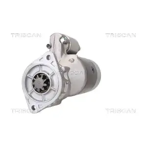 TRISCAN 8305 10017