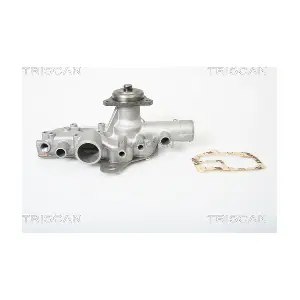 860010813 TRISCAN